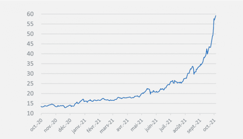 Variation du prix du gaz en 2021 (en €/MWh)