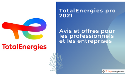 TotalEnergies Professionnels : Tarifs 2021 électricité et gaz