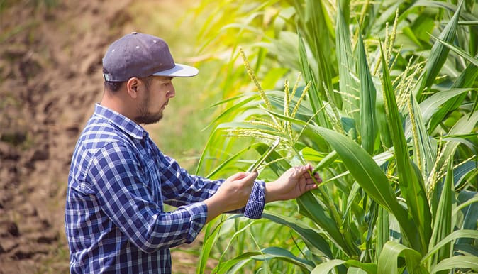  fournisseur d'énergie exploitation agricole